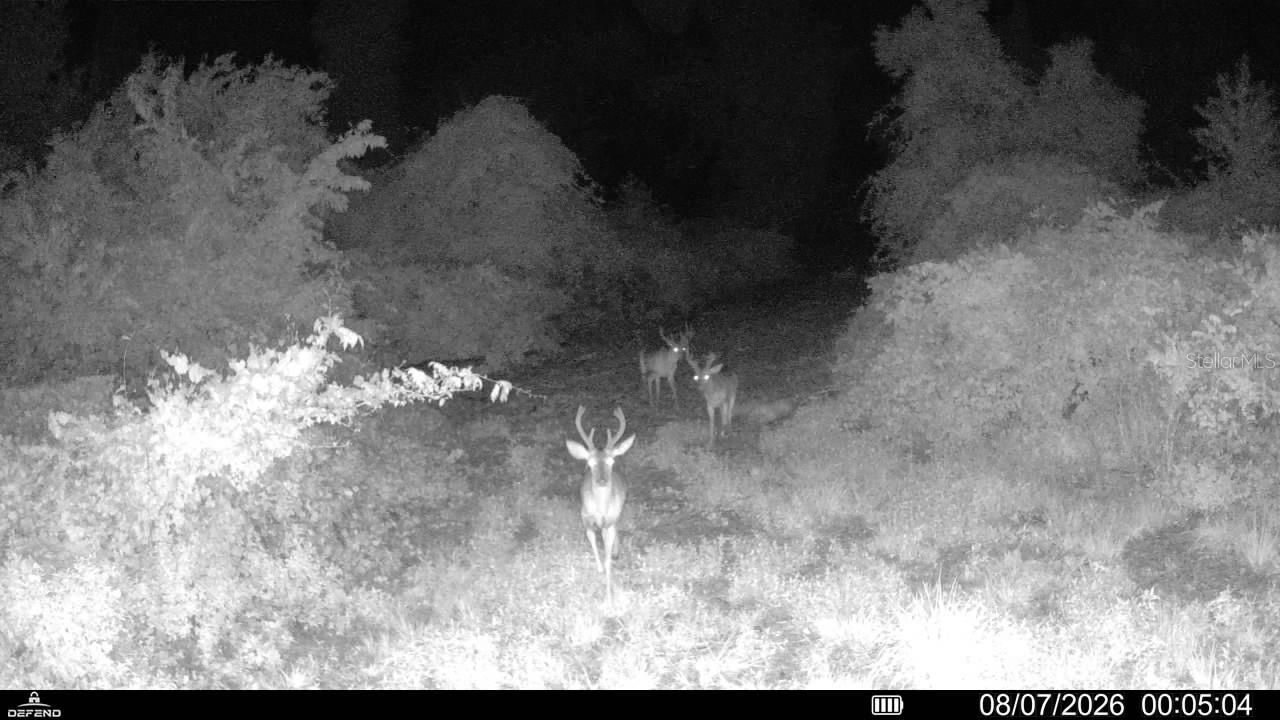 00 99th Lane, Live Oak, FL 32060 Photo