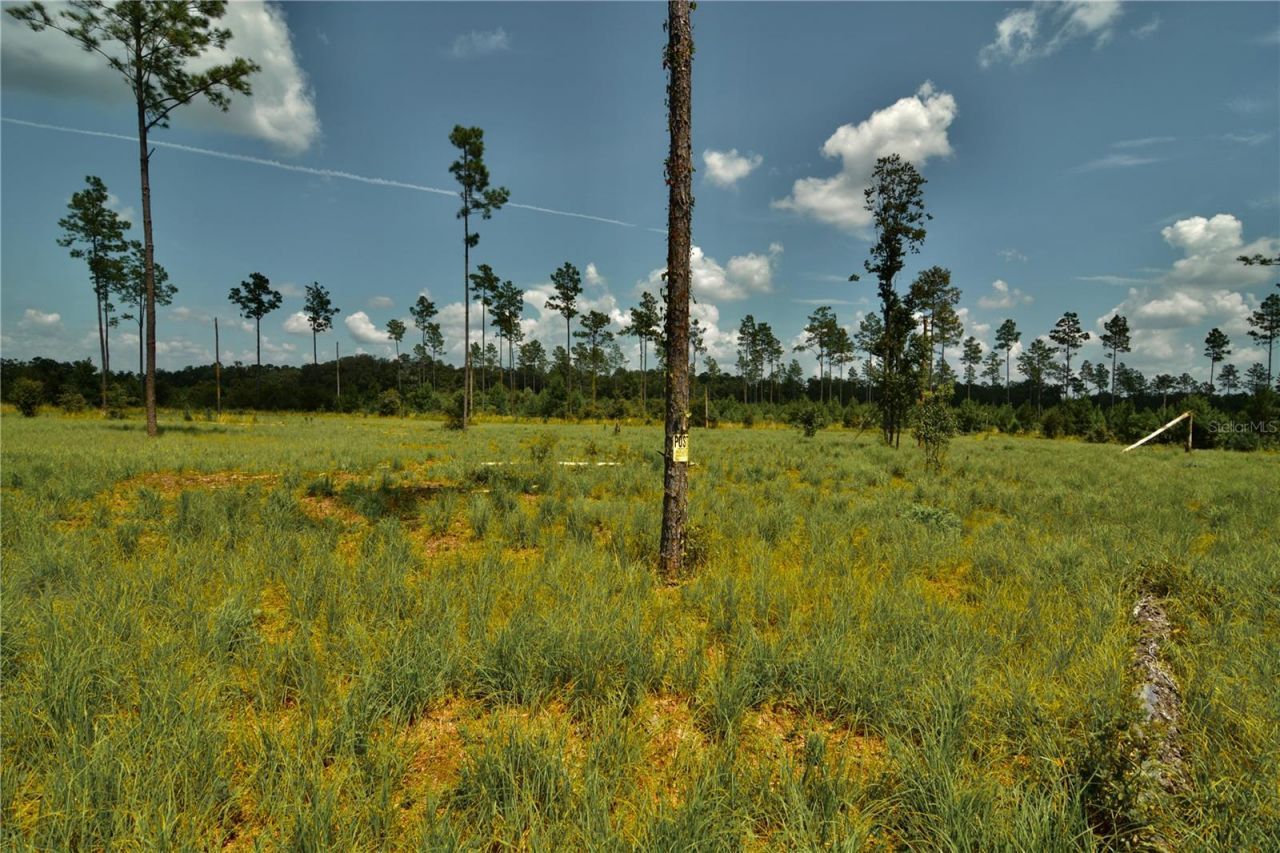 00 99th Lane, Live Oak, FL 32060 Photo