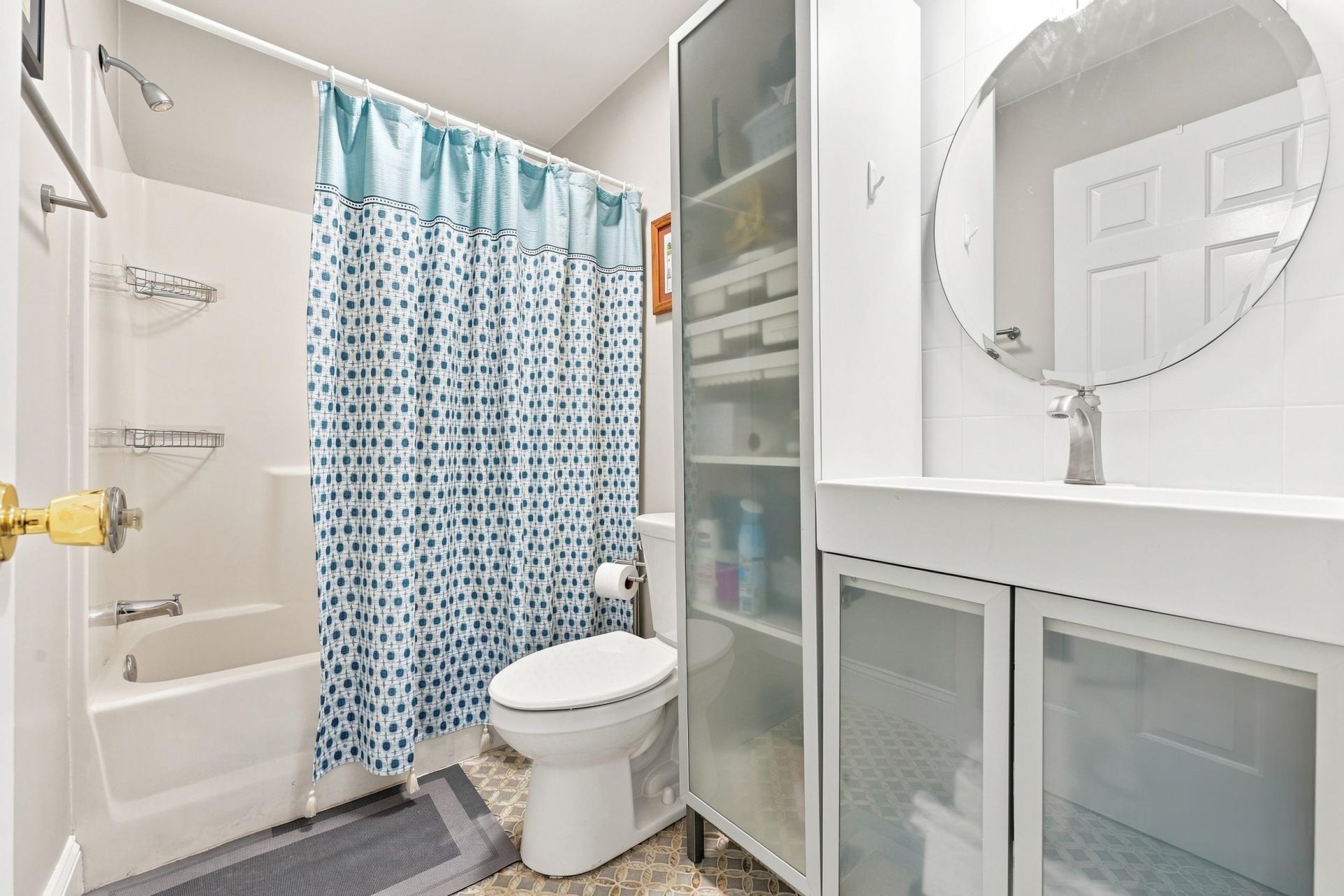 221 Spring Lake Dr. Photo 39