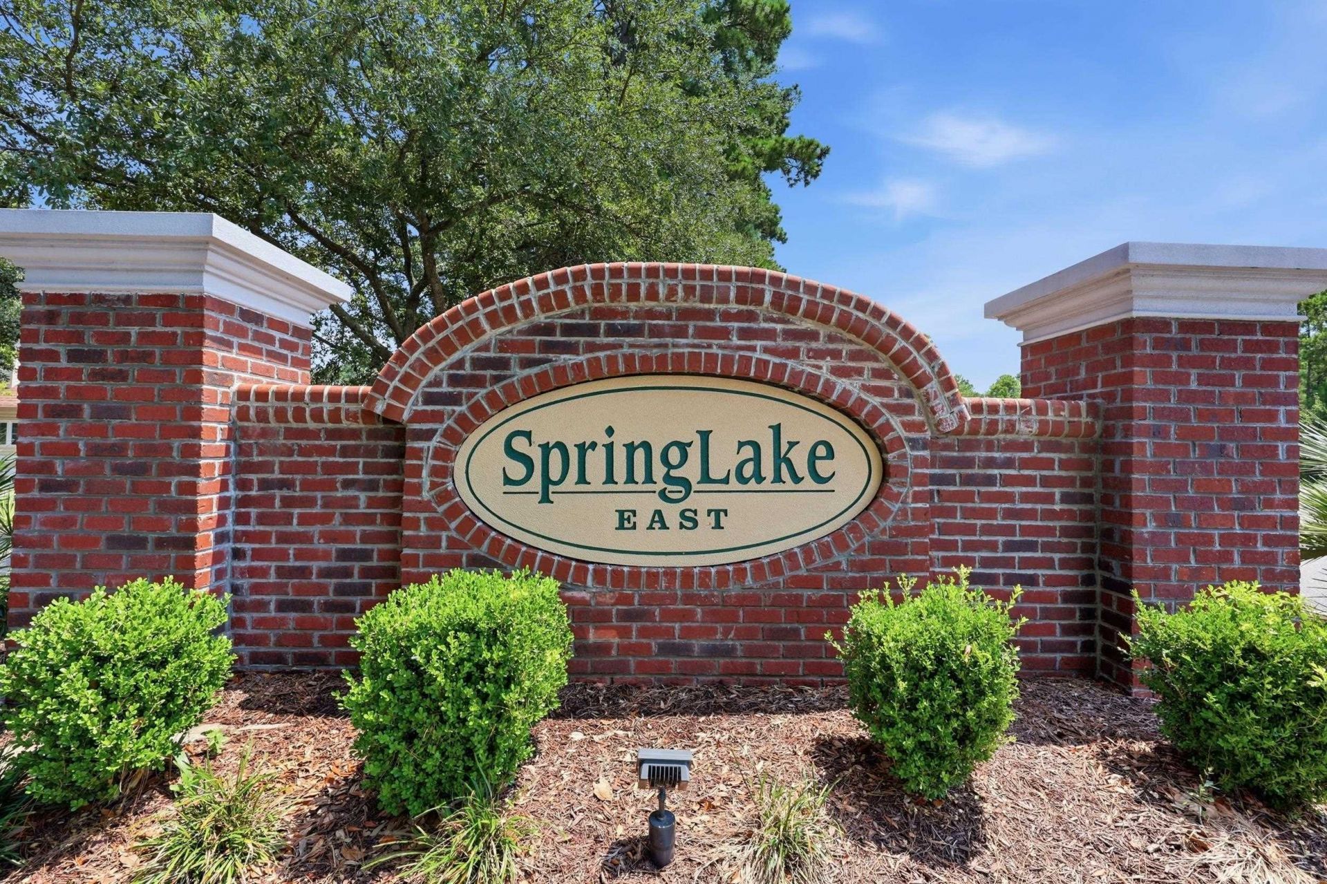 221 Spring Lake Dr. Photo 70