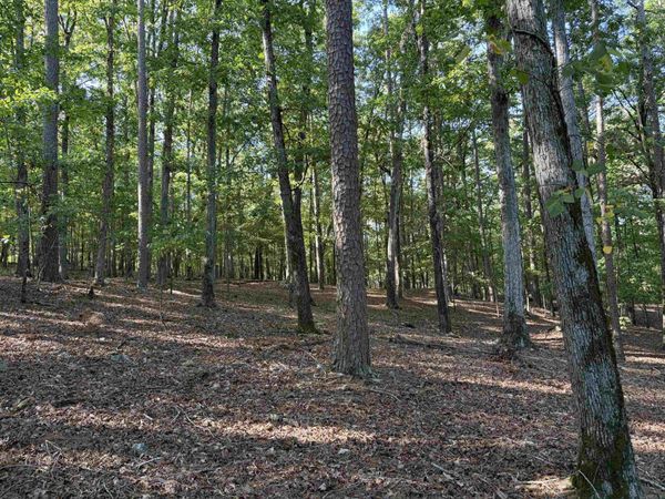 12 Southridge Drive , Mount Ida, AR 71957