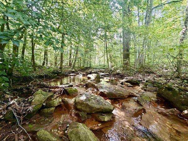1028 Blanche Fullmer Road, Tunnelton, WV 26444