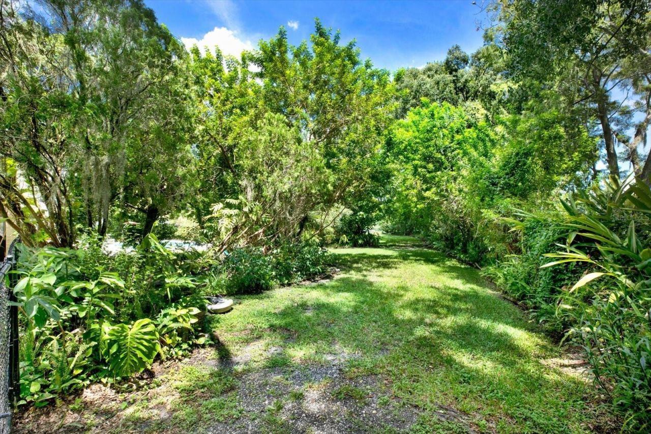 5708 Puritan Road, Tampa, FL 33617 Photo