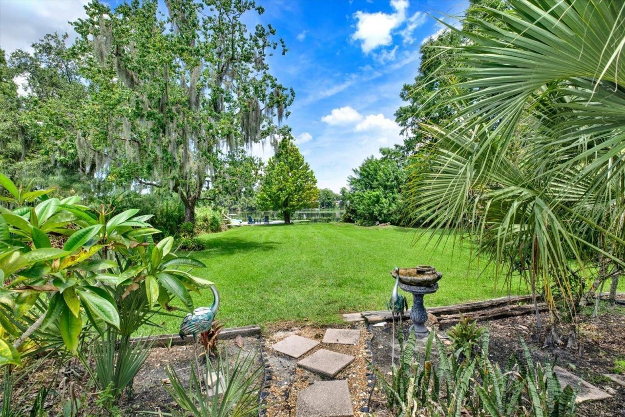 5708 Puritan Road, Tampa, FL 33617 Photo