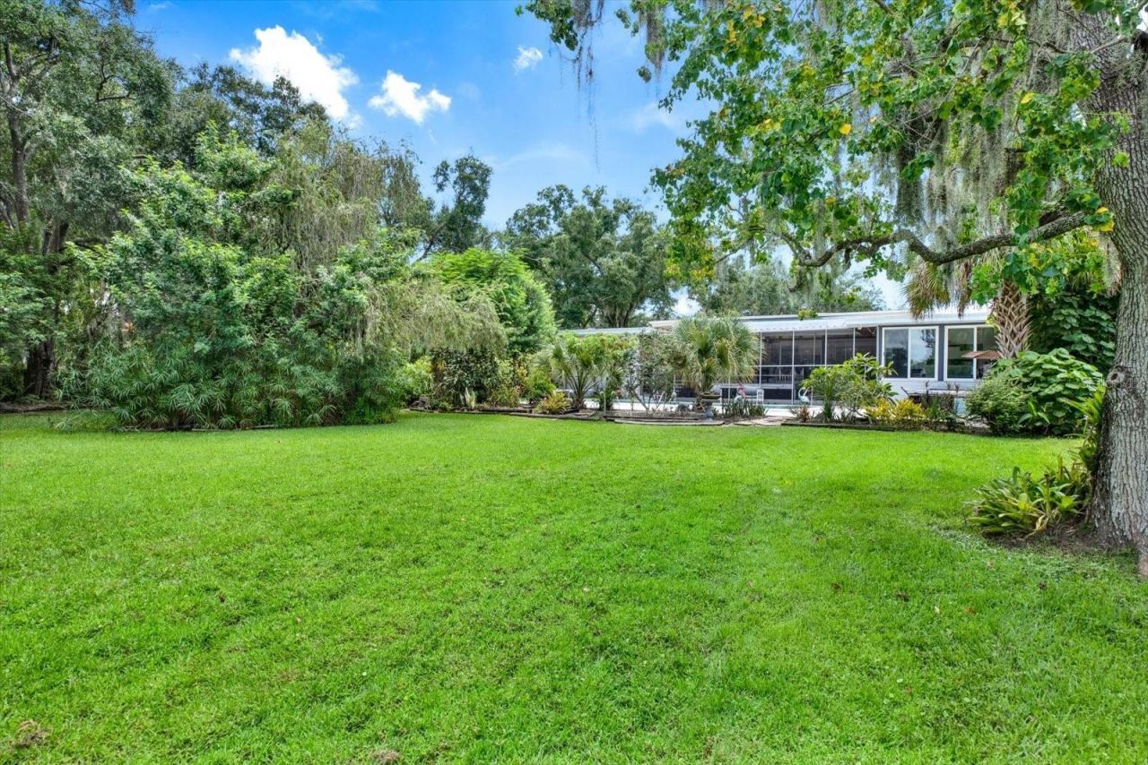 5708 Puritan Road, Tampa, FL 33617 Photo