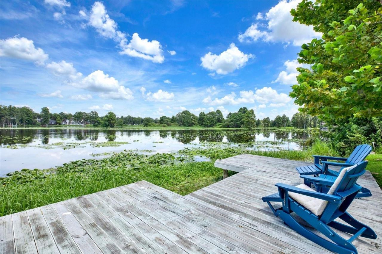 5708 Puritan Road, Tampa, FL 33617 Photo