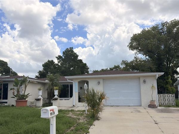 9830 MARK TWAIN LANE , PORT RICHEY, FL 34668