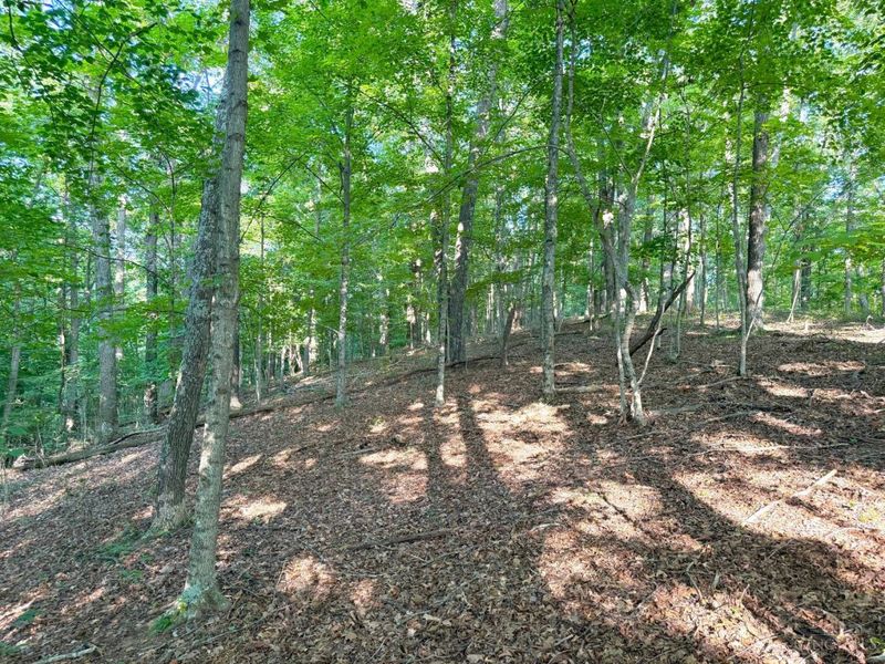 0 325 Highway, Morgan Township, OH 45686 Photo 13