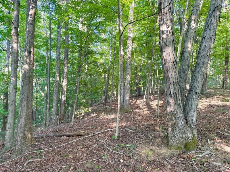 0 325 Highway, Morgan Township, OH 45686 Photo 30