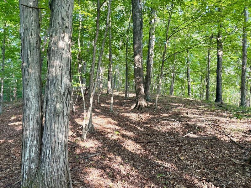 0 325 Highway, Morgan Township, OH 45686 Photo 32
