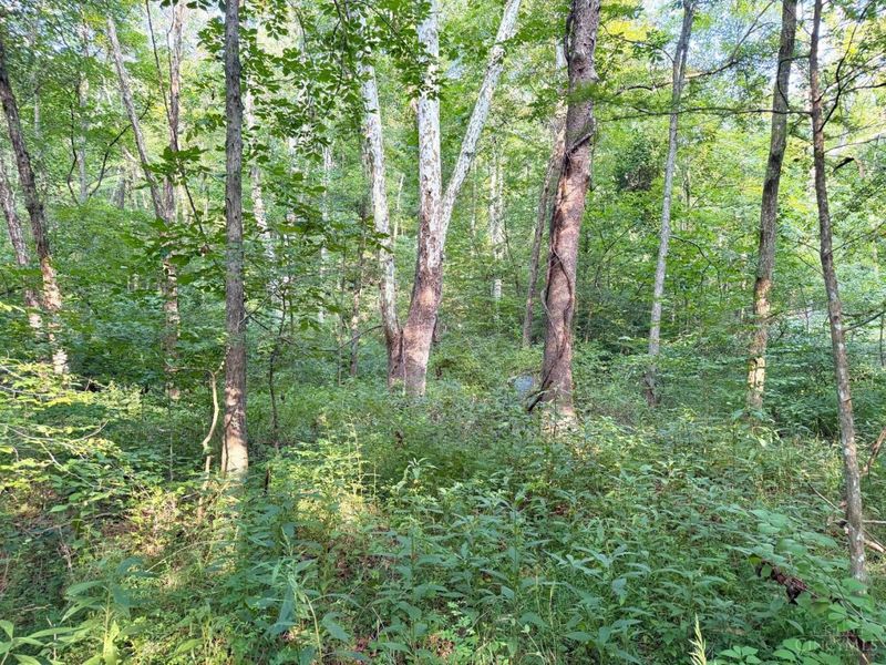 0 325 Highway, Morgan Township, OH 45686 Photo 35