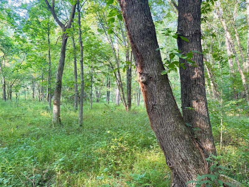 0 325 Highway, Morgan Township, OH 45686 Photo 36