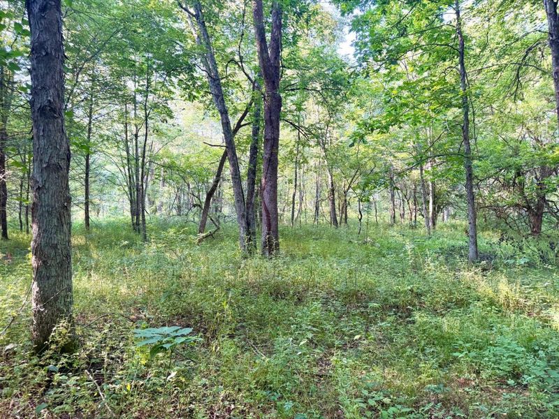 0 325 Highway, Morgan Township, OH 45686 Photo 37