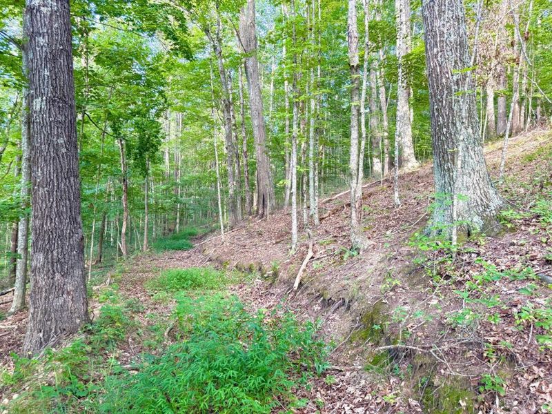 0 325 Highway, Morgan Township, OH 45686 Photo 8