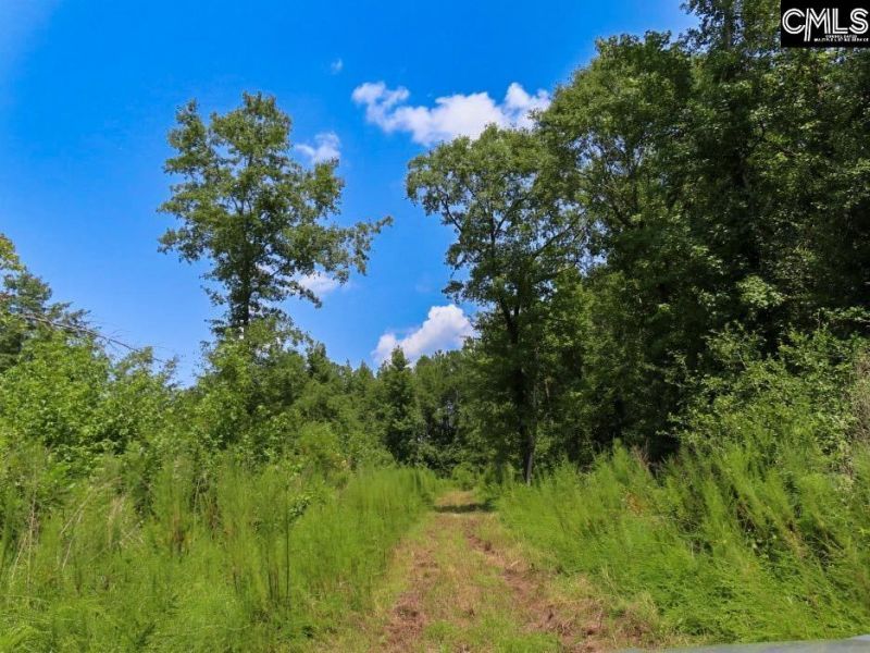 231 Ault Road Photo 12