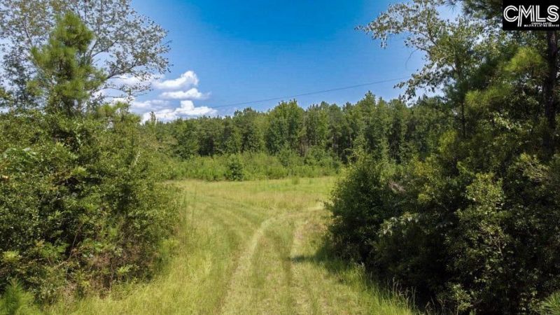 231 Ault Road Photo 15