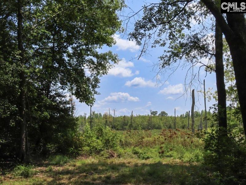 231 Ault Road Photo 17