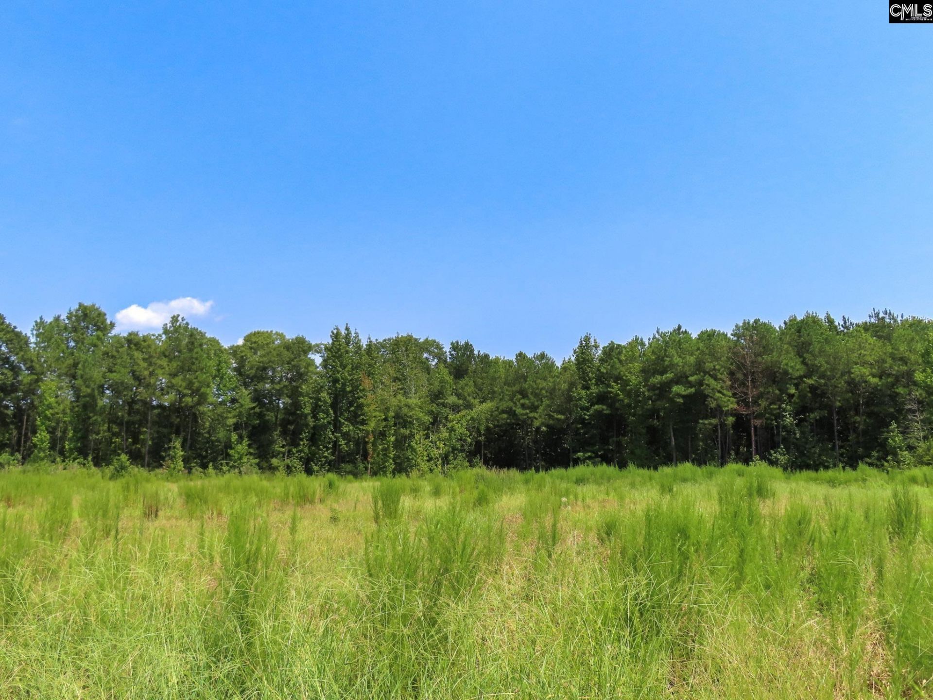 231 Ault Road Photo 20