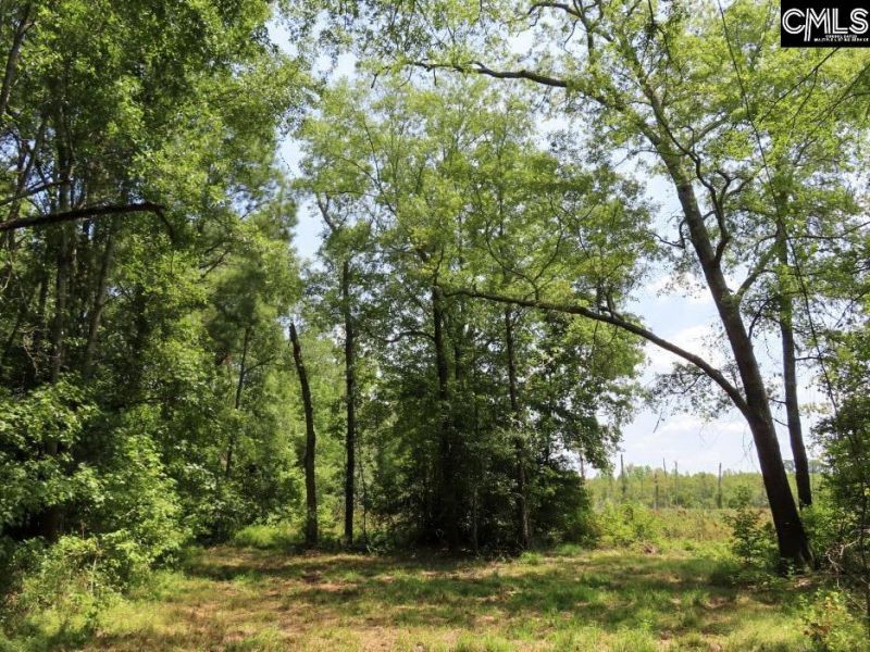 231 Ault Road Photo 27