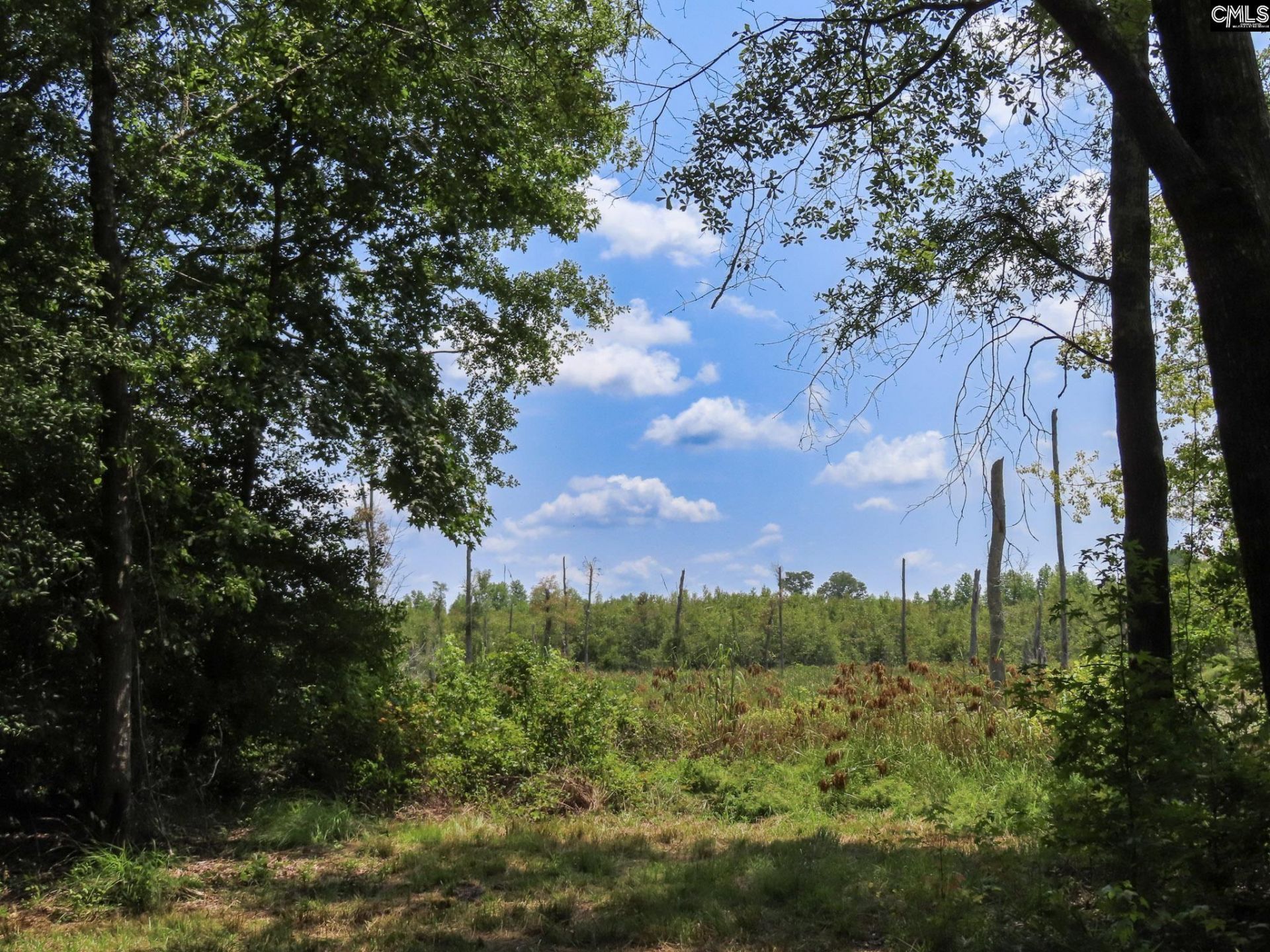 231 Ault Road Photo 36