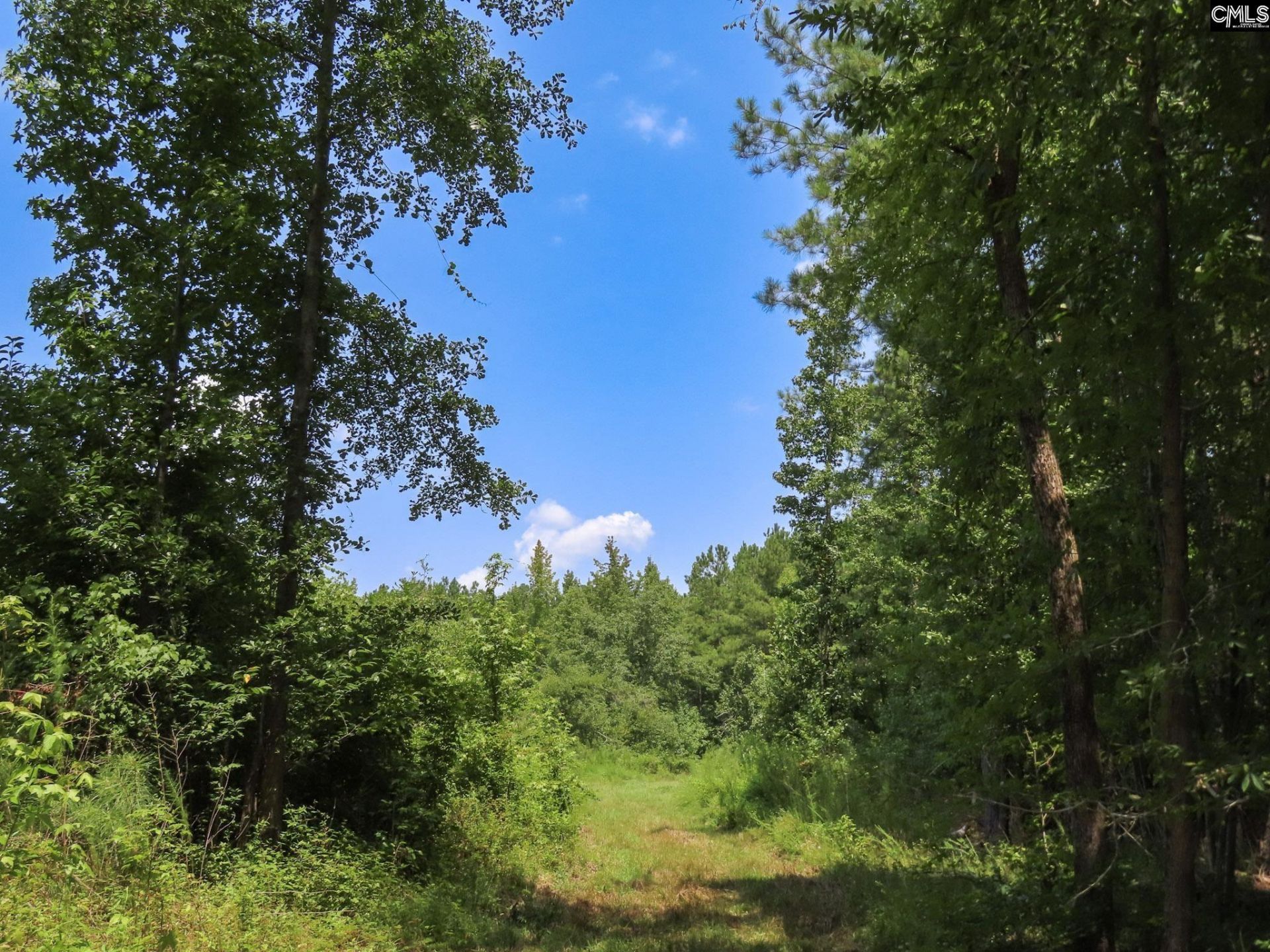 231 Ault Road Photo 37