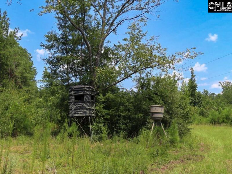 231 Ault Road Photo 38