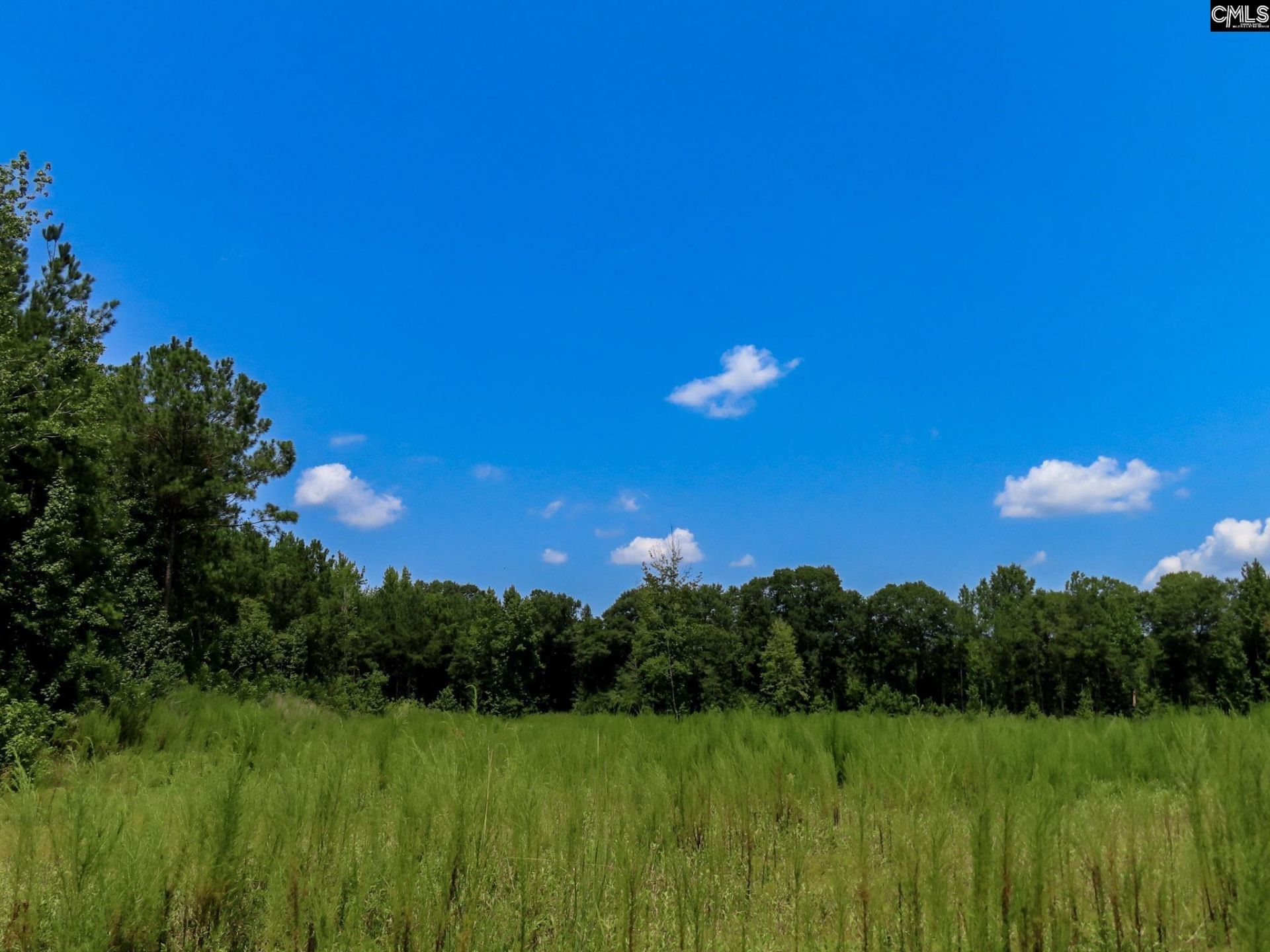 231 Ault Road Photo 4