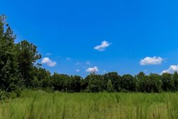 231 Ault Road photo 4