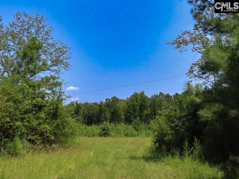 231 Ault Road Photo 40