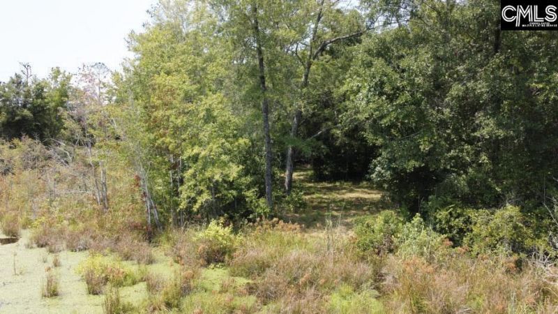 231 Ault Road Photo 41