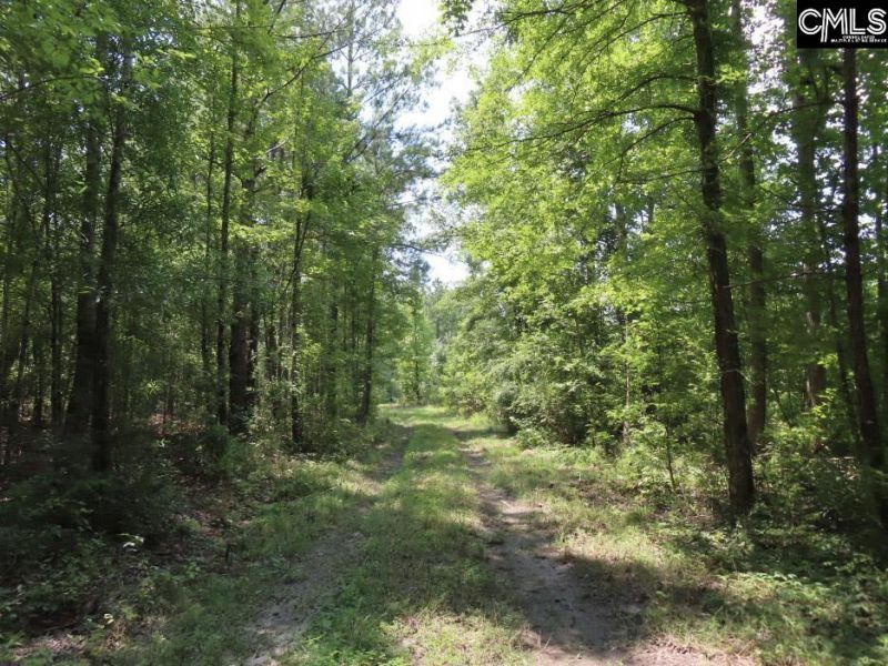 231 Ault Road Photo 42