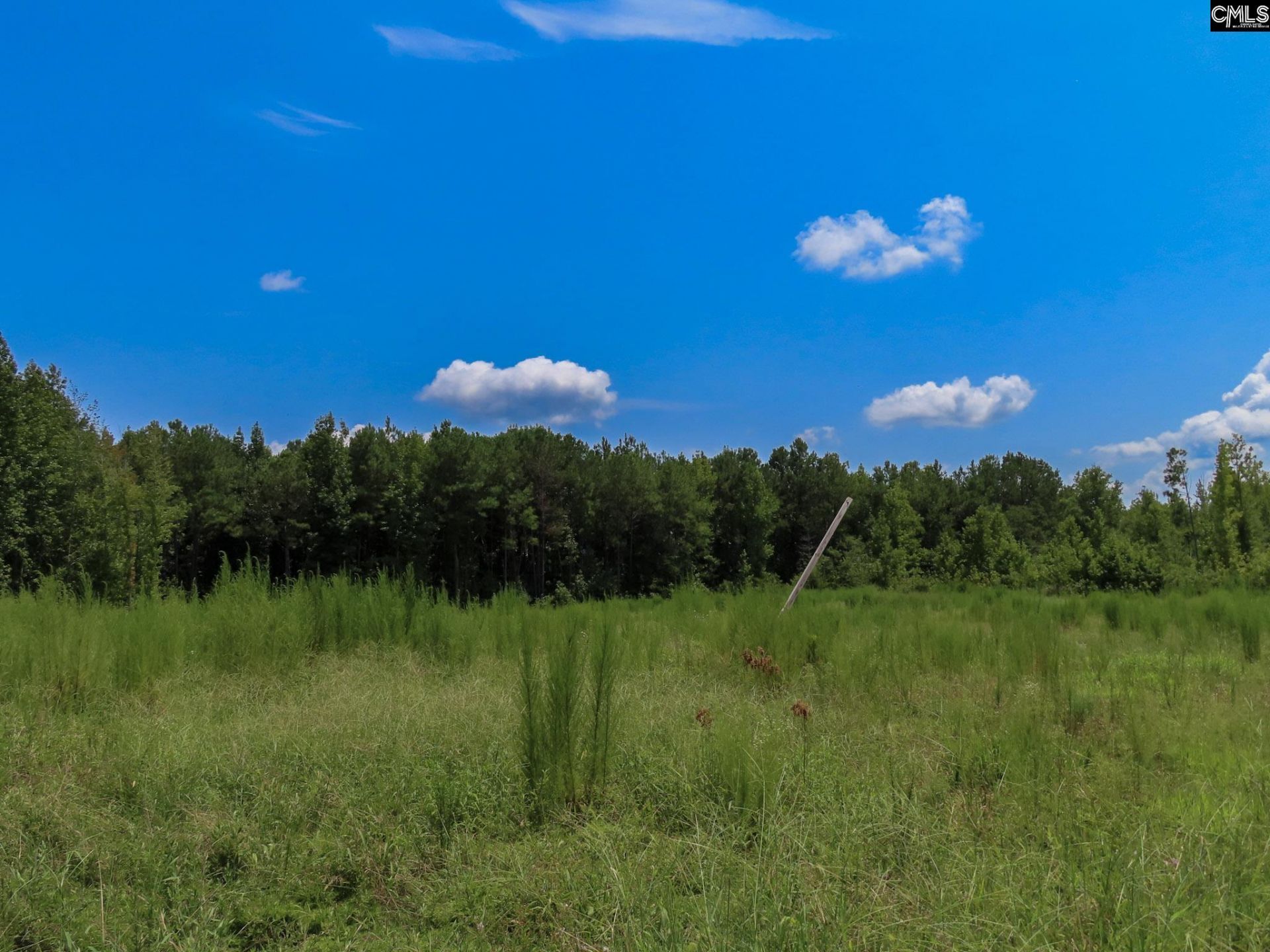 231 Ault Road Photo 44