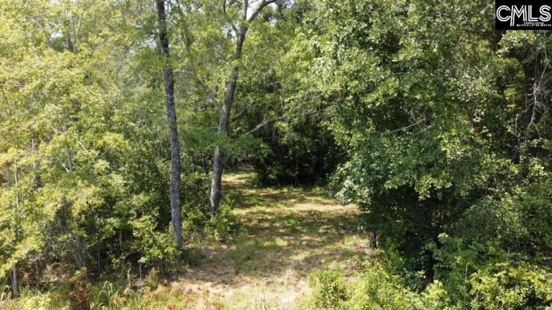 231 Ault Road Photo 46