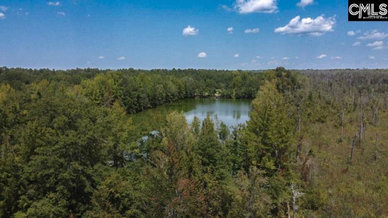 231 Ault Road Photo 47