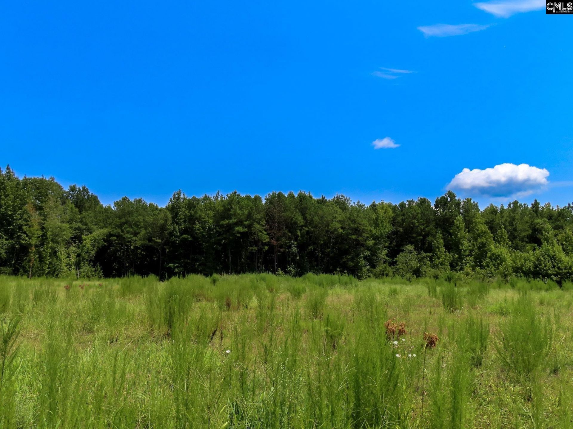 231 Ault Road Photo 49