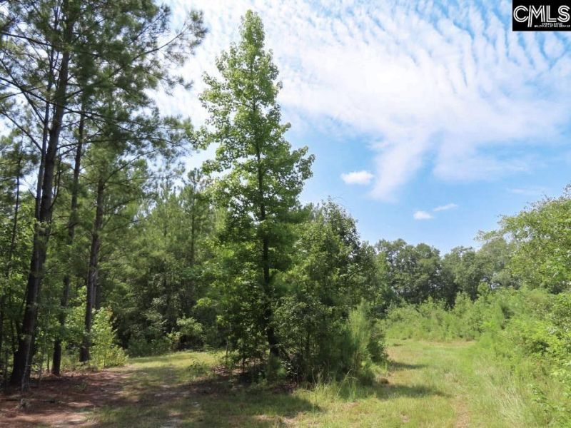 231 Ault Road Photo 51