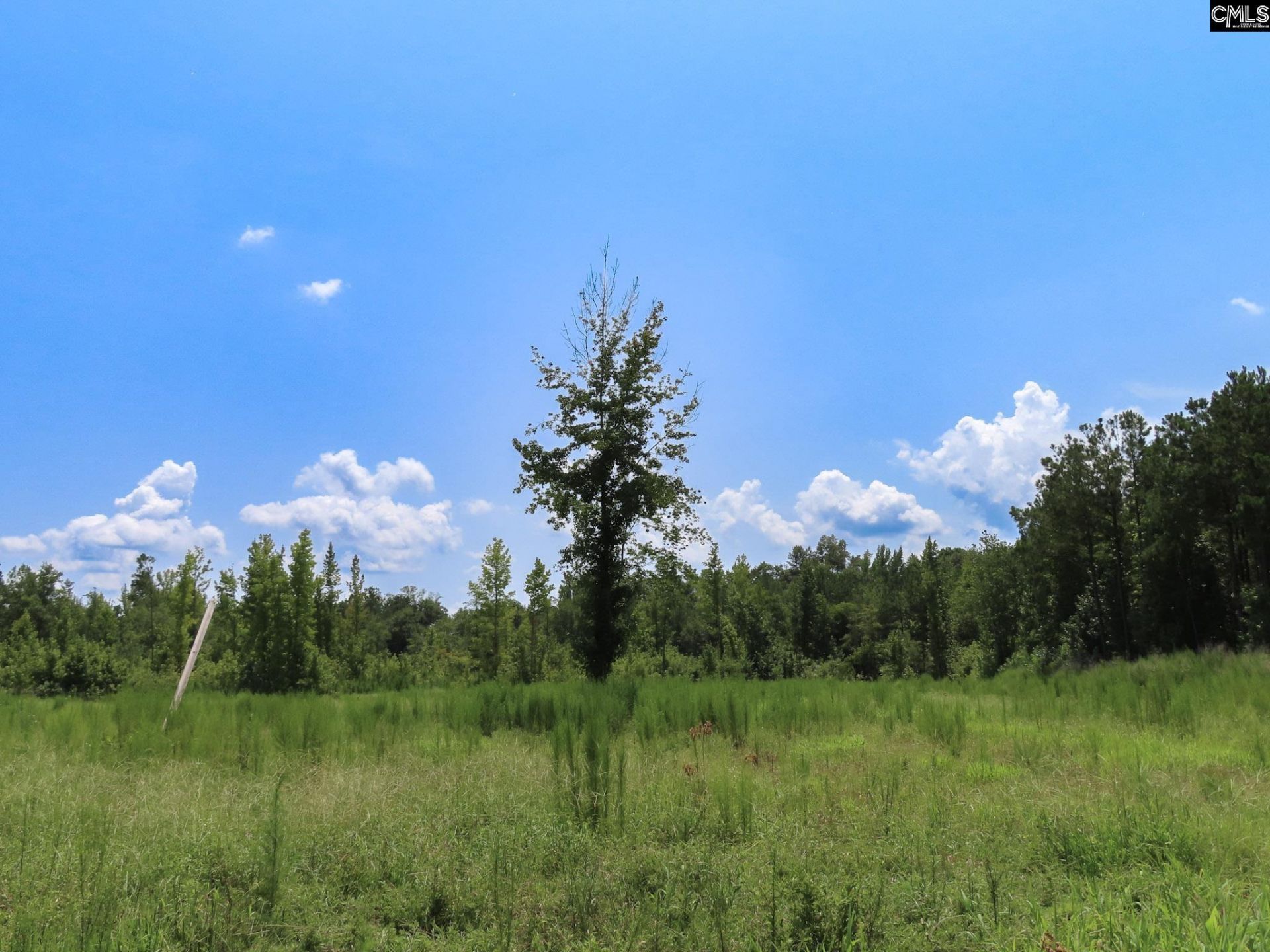 231 Ault Road Photo 53
