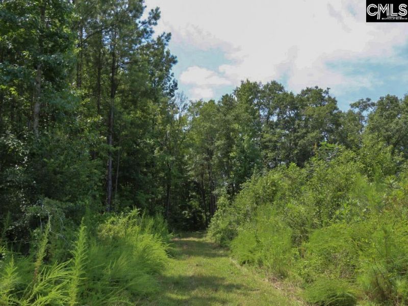 231 Ault Road Photo 55