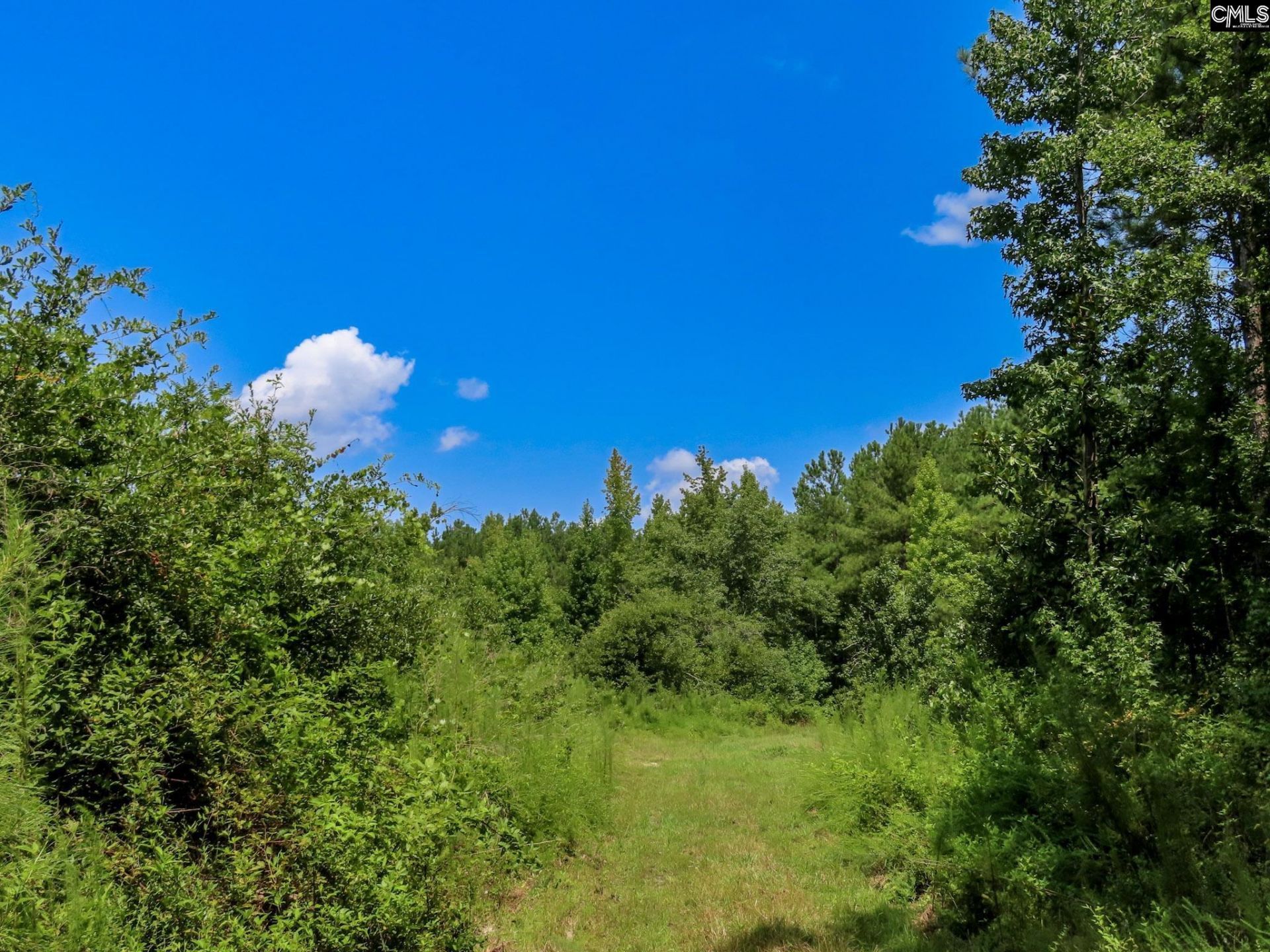 231 Ault Road Photo 57