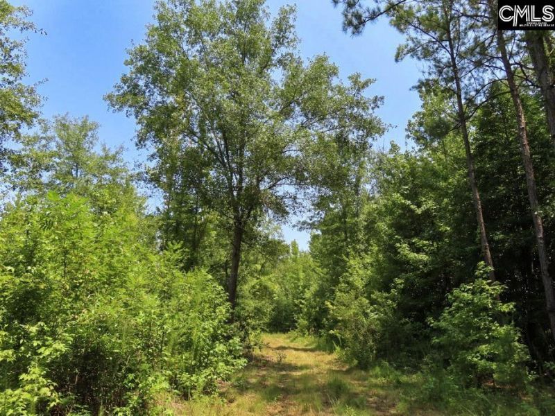 231 Ault Road Photo 59