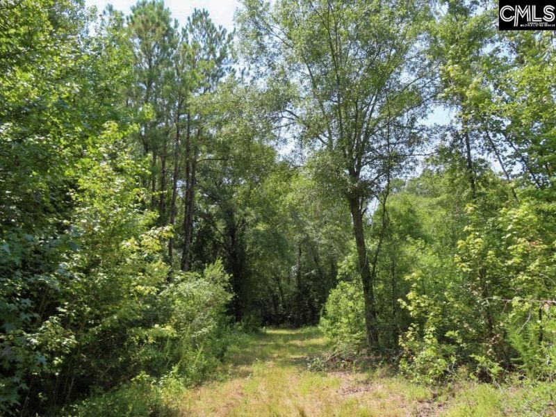 231 Ault Road Photo 61