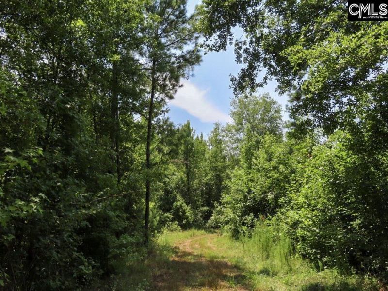 231 Ault Road Photo 63