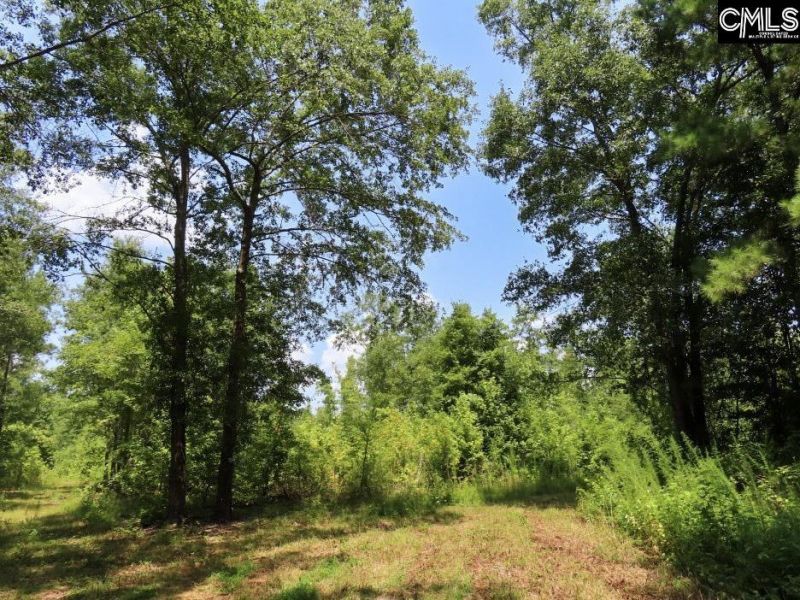 231 Ault Road Photo 65
