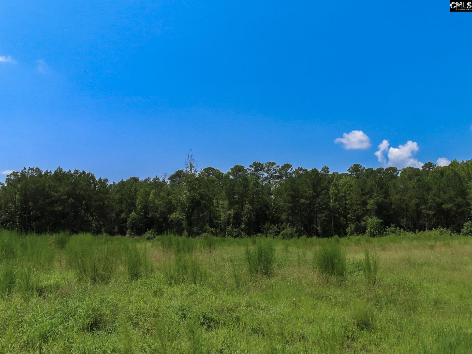 231 Ault Road Photo 67