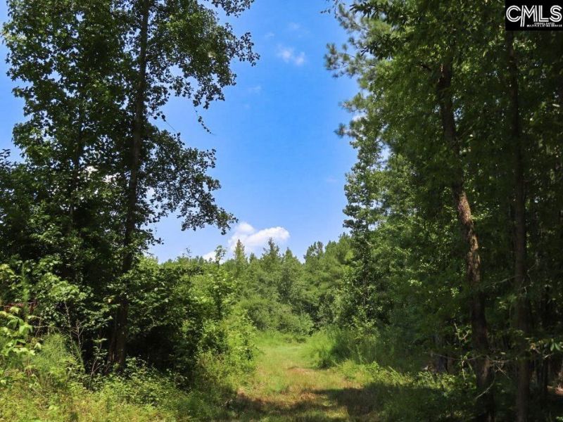 231 Ault Road Photo 68