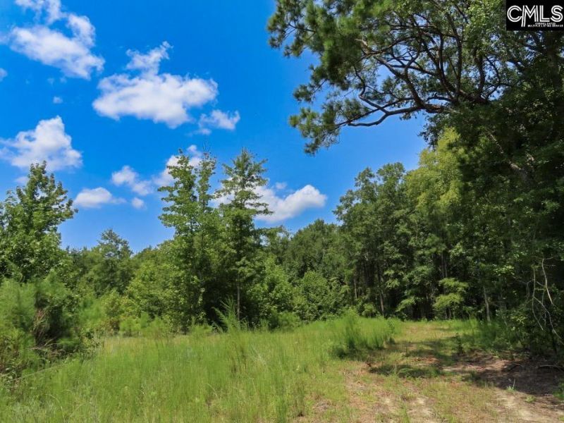 231 Ault Road Photo 7