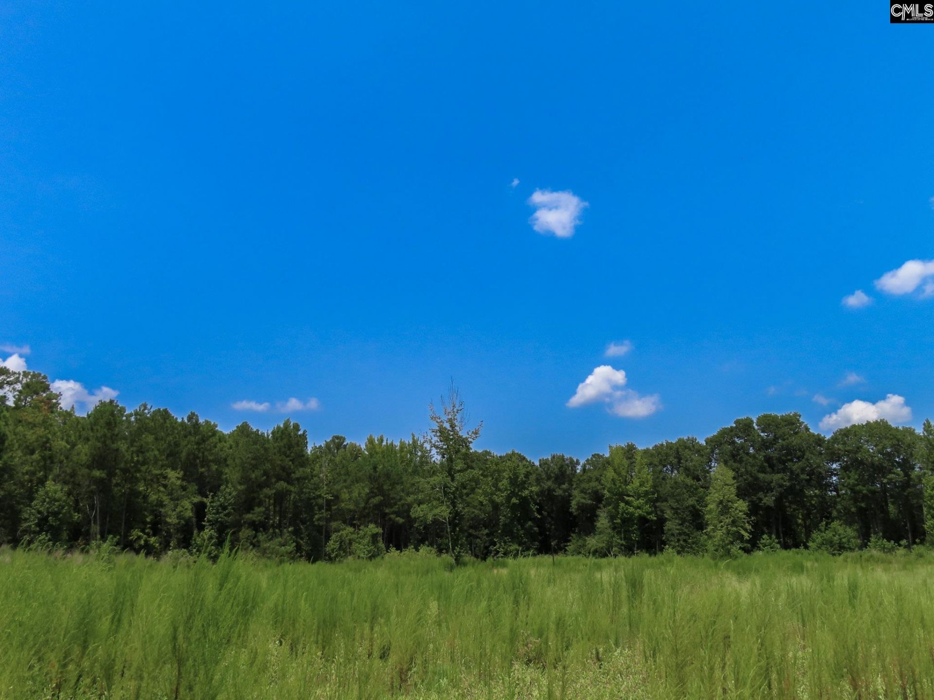 231 Ault Road Photo 70