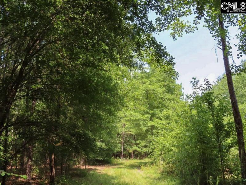 231 Ault Road Photo 71