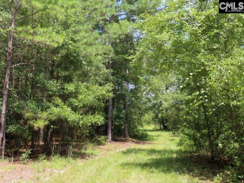 231 Ault Road Photo 74