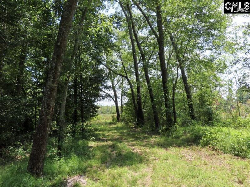231 Ault Road Photo 76